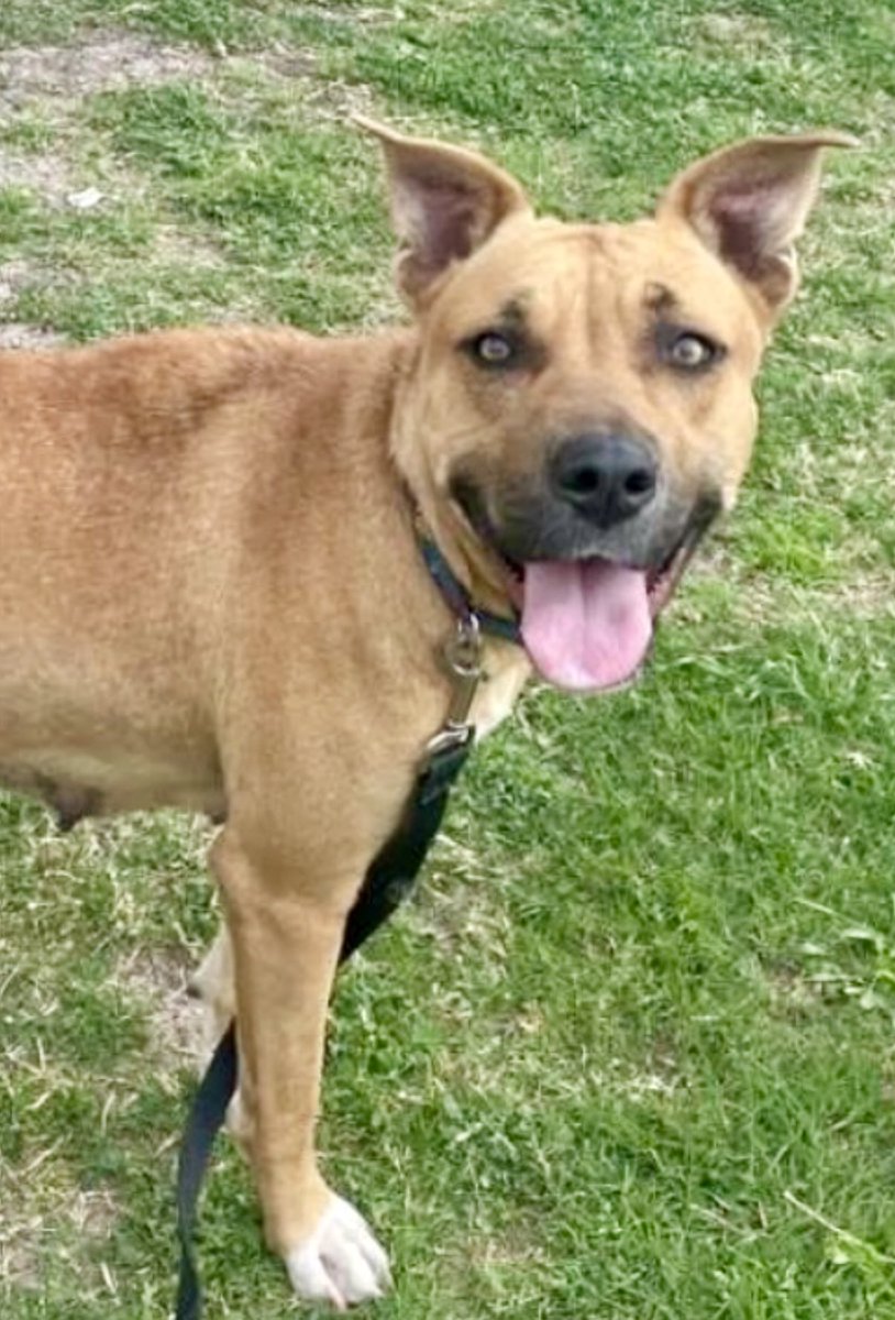 Cheryl Ramirez tweet media