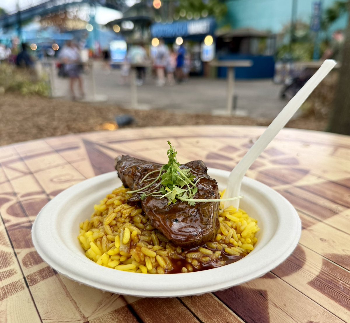 Jake Prochazka tweet media