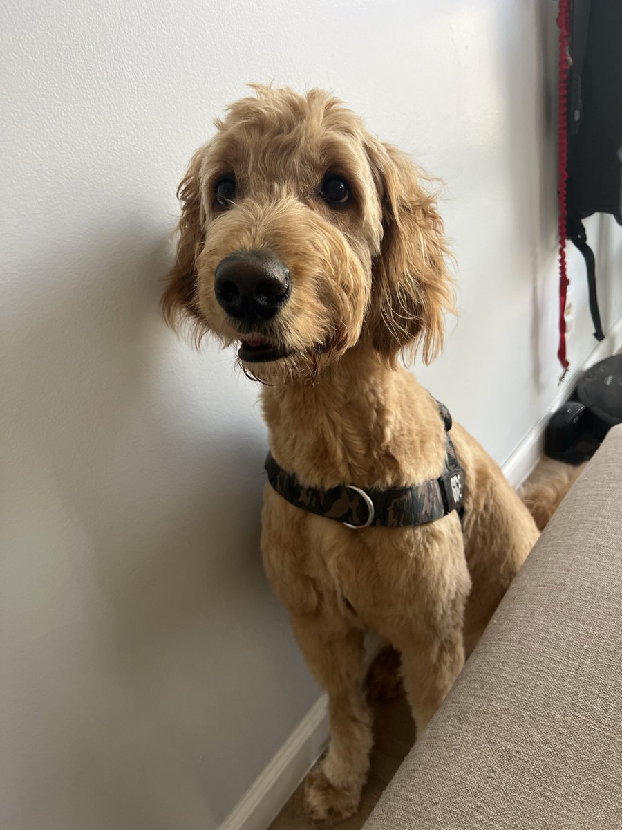 Queen Satoshee tweet media