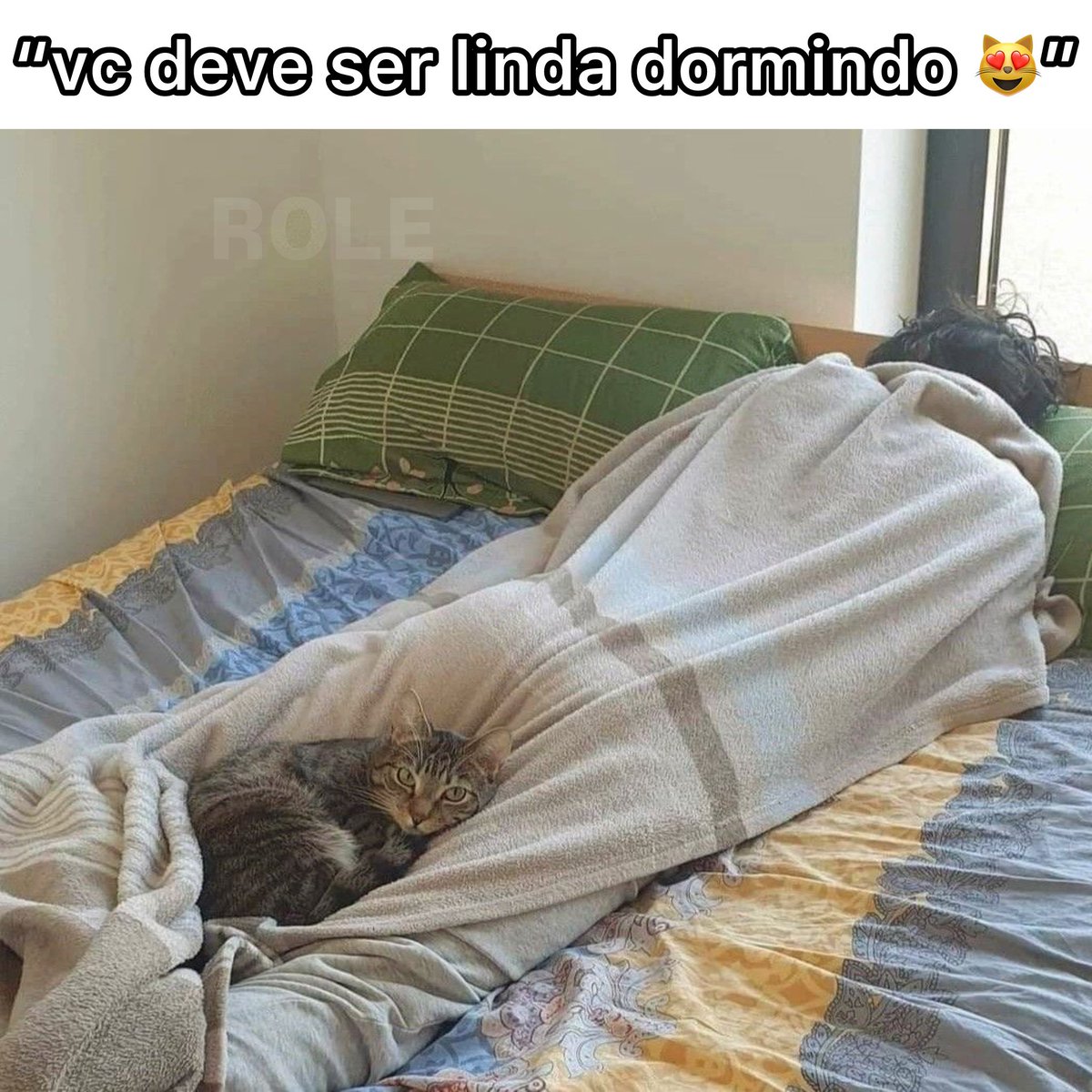 Rolê Aleatório (@rolealeatorio) on Twitter photo 