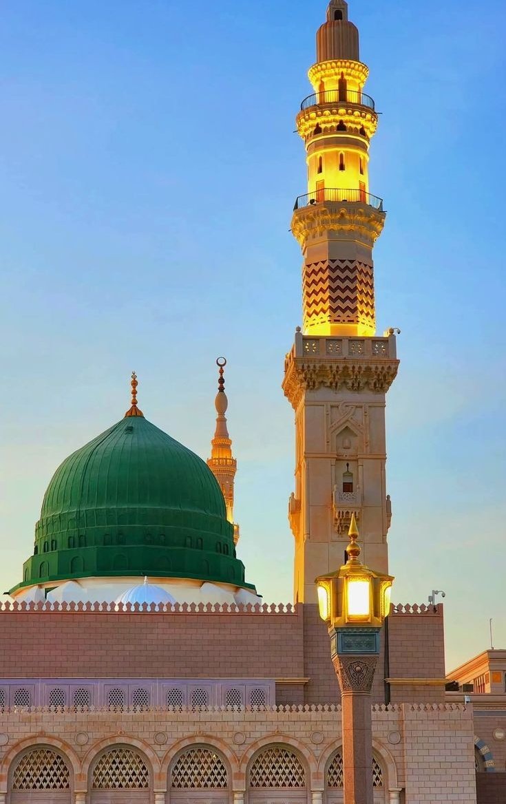 دلِ  حزیں  کا  فقط   آپ   کی  نظر  کے  سوا
کوئی  علاج  نہیں  ہے، حضورﷺ دیکھیں نا