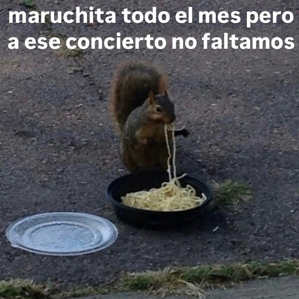 Alternofest tweet media