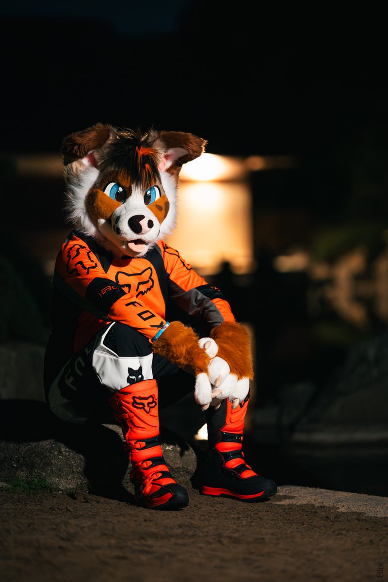 Lexie Doggo tweet media