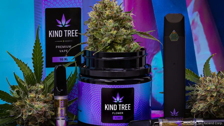 Todd Harrison tweet media