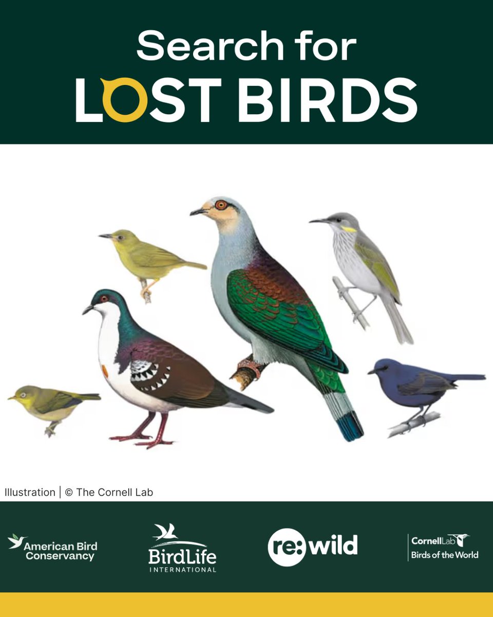 American Bird Conservancy tweet media