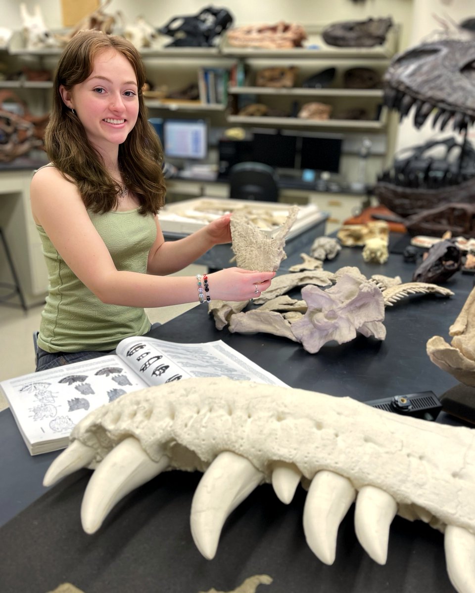 WitmerLab tweet media