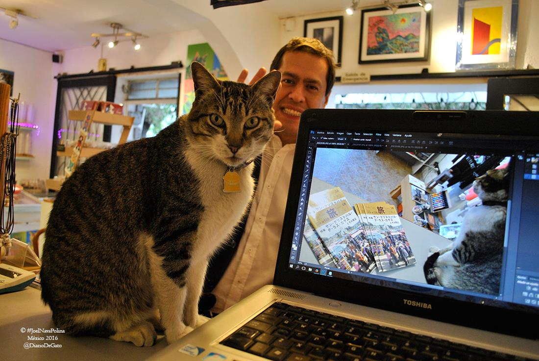 Garros Todo en Gatos tweet media