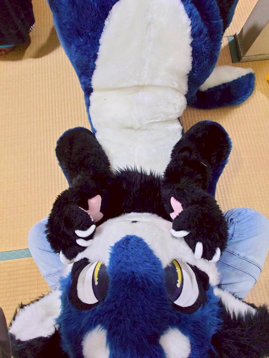 すがこう tweet media