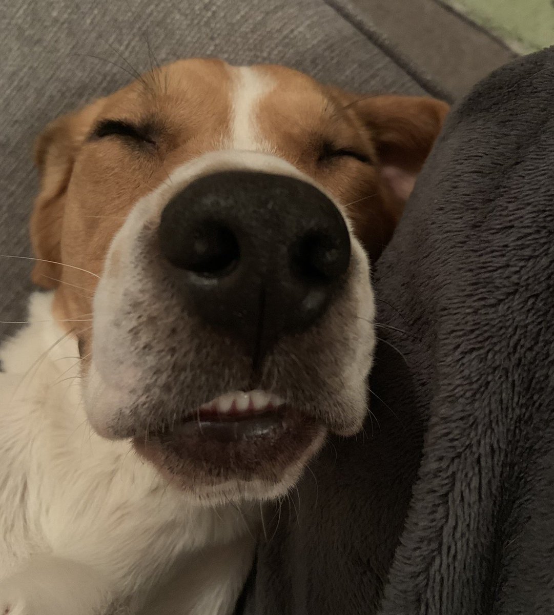 Lauren 🐼 tweet media