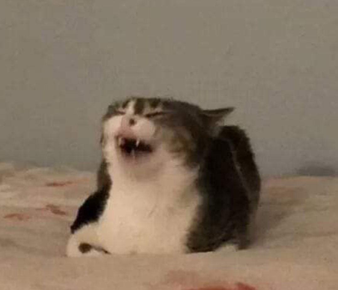 erikakoppg's tweet photo. Se imaginan a Maduro gritando desde su celda de 2x2: 

- plis plis aim de president de venezuela https://t.co/cDcxez2elt