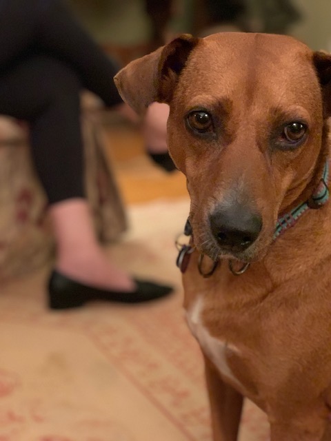 Joseph Finder tweet media