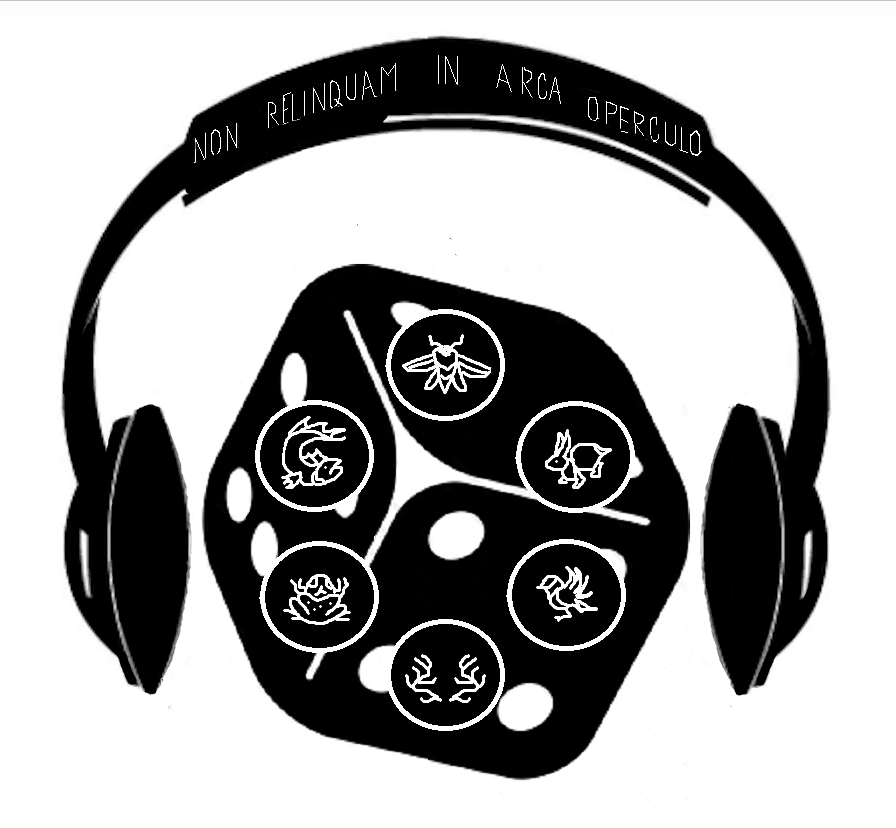 Organised Fun tweet media