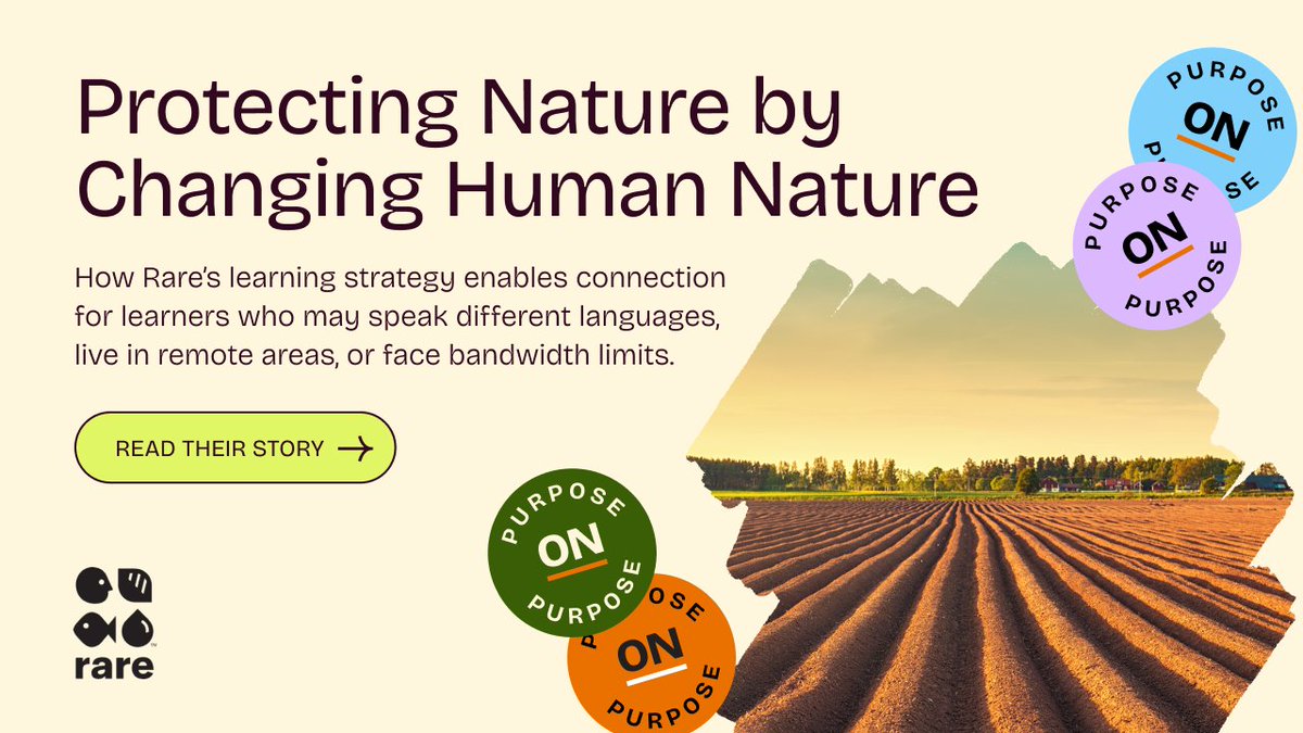 Articulate tweet media