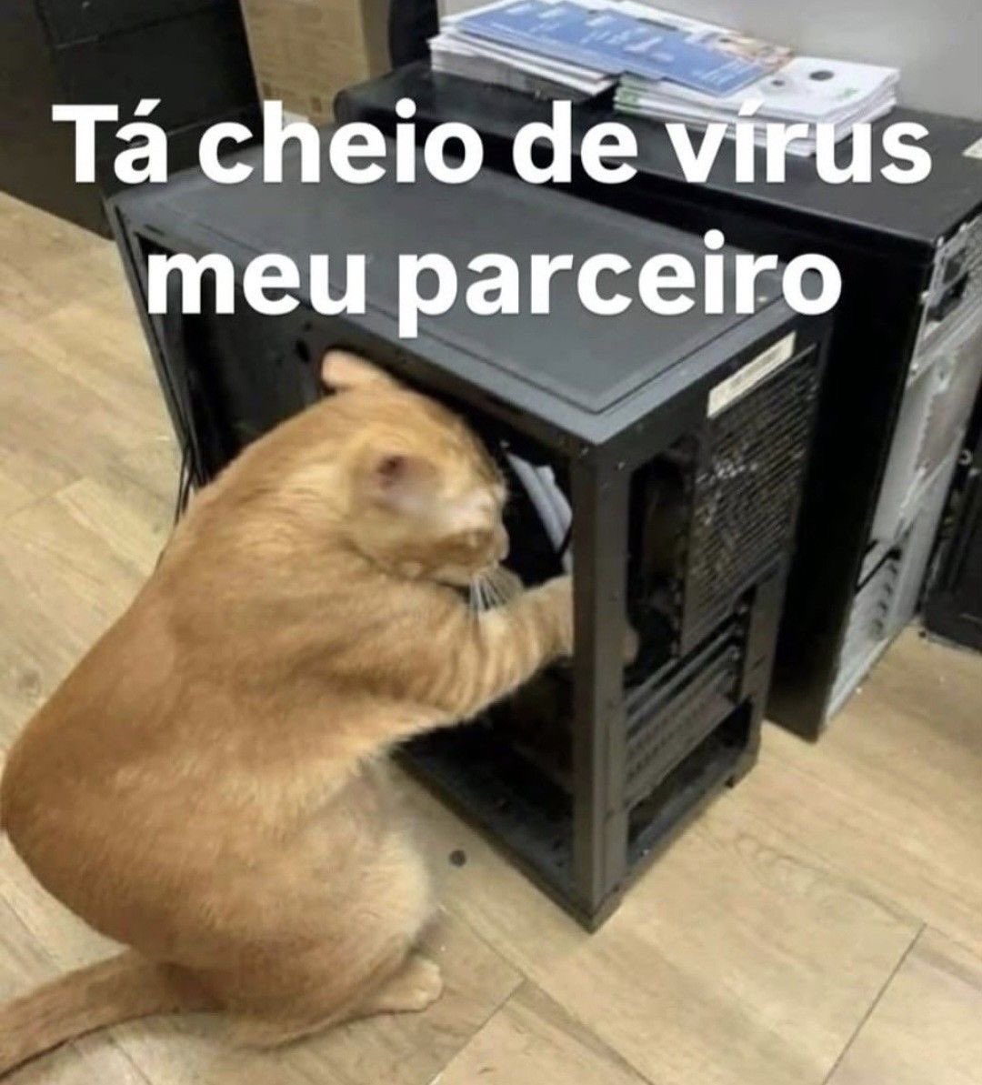 Shitpost só que de verdade tweet media