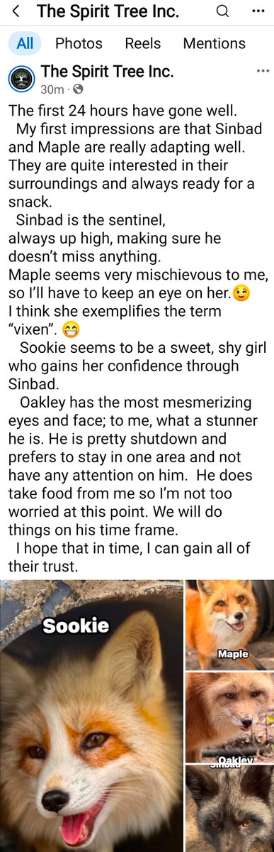 Kelly Doering tweet media