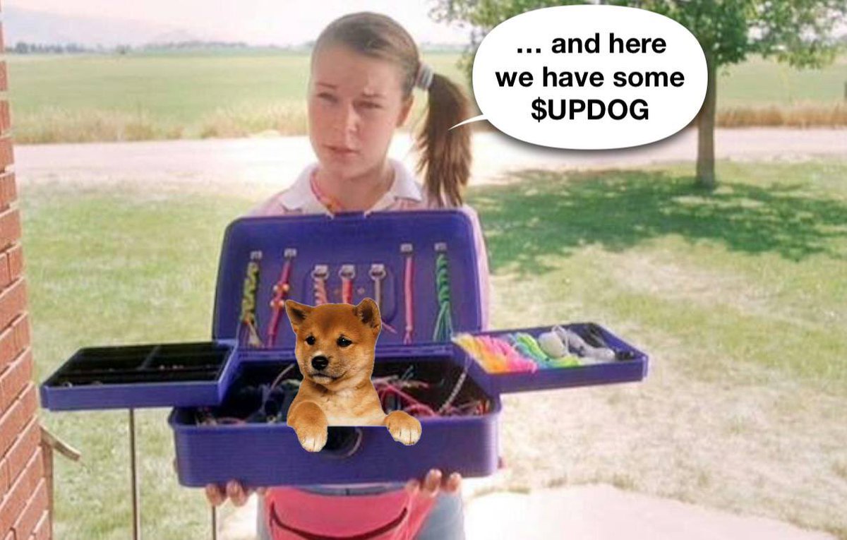 What’s Updog? tweet media