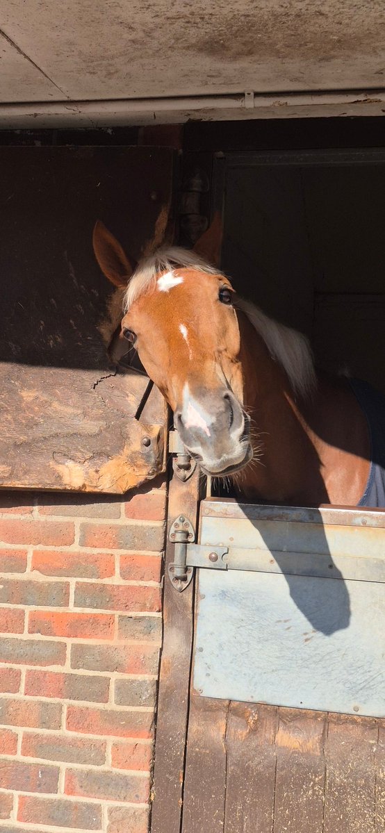 #GoRacingGreen Official (Debbie Matthews) tweet media