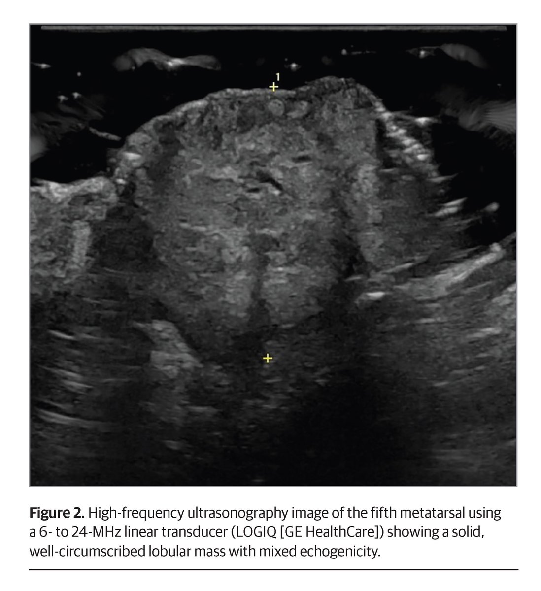 JAMA Dermatology tweet media