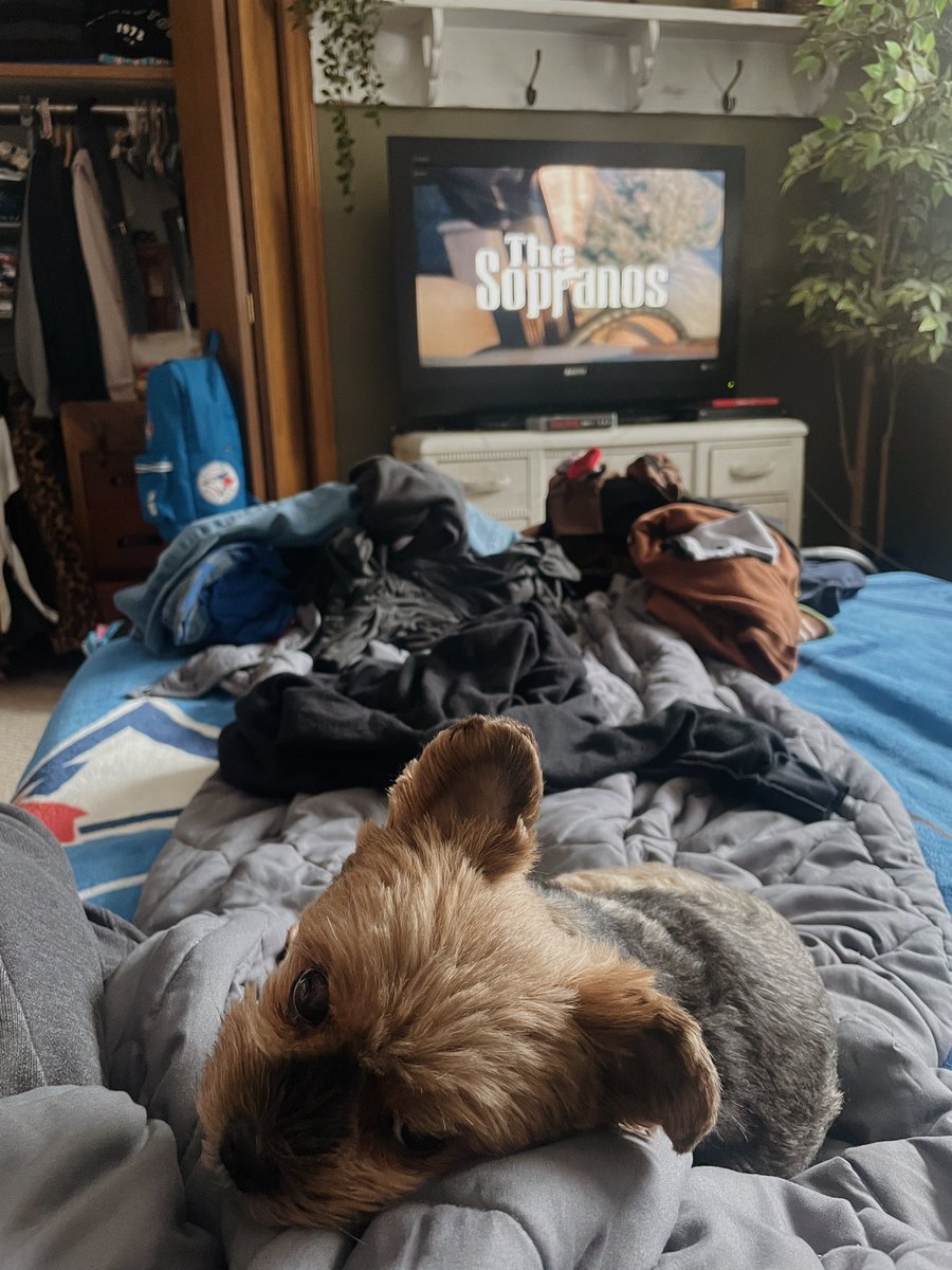 ᥫ᭡ lex tweet media