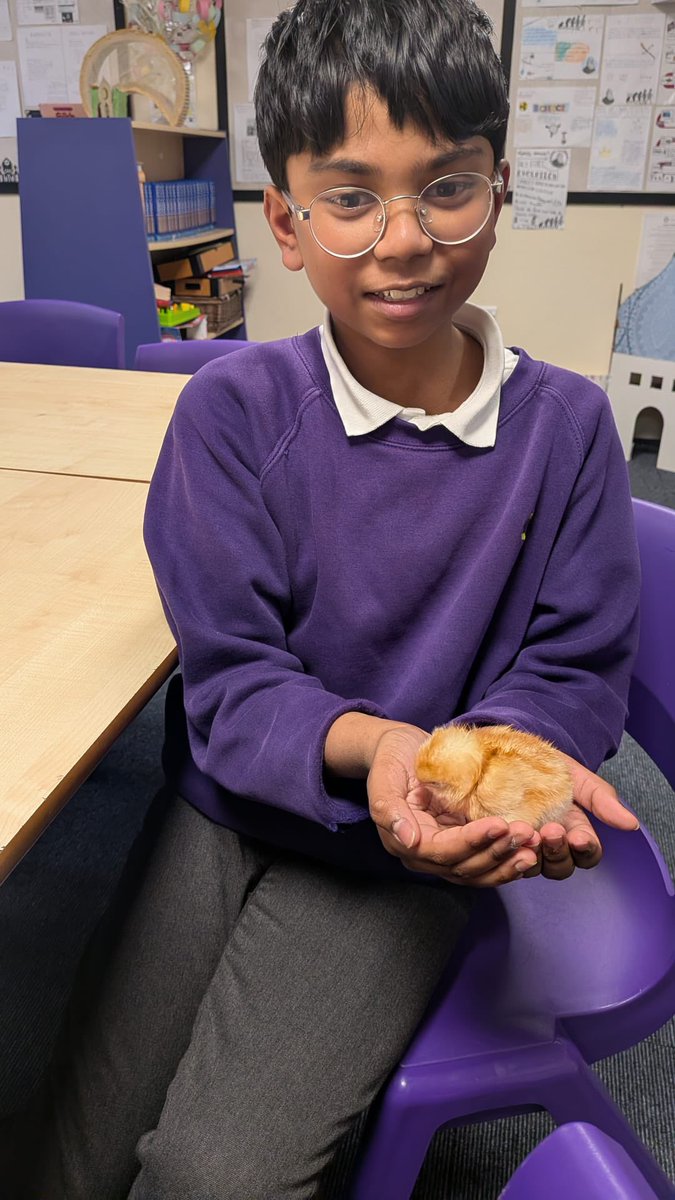 olive_bolton's tweet image. Year 6 enjoy some #wellbeing time with the newest additions to the #OliveFamily #Experiences #Awe #Wonder #Ambition #Caring #Science #Life #WeAreStar #HappyTimes