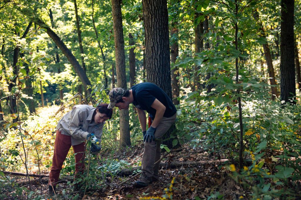 U-M Graham Sustainability Institute tweet media