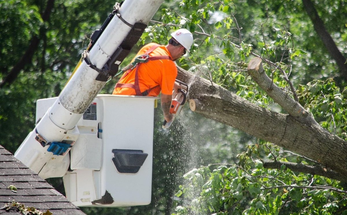 SWEPCoNews's tweet image. We’re trimming trees and reclaiming rights-of-way this month to keep your power reliable—part of our commitment to operational excellence. #ReliableEnergy #OperationalExcellence #SWEPCO