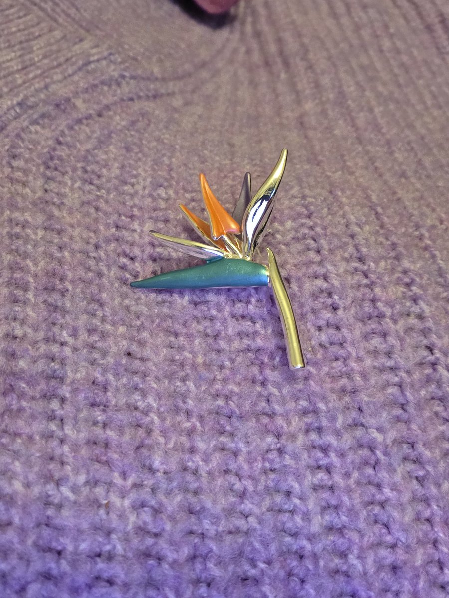 Laura The Scorer tweet media