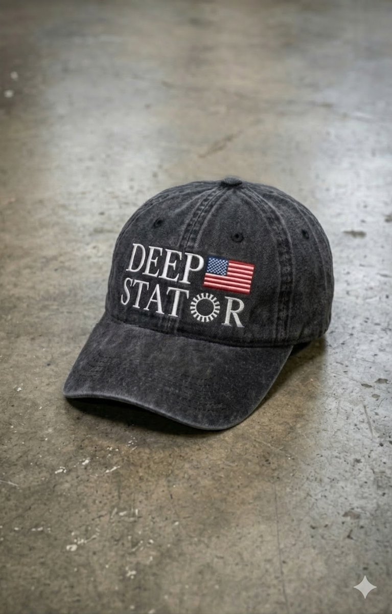 David Hansen 🇺🇸 🇳🇿 tweet media