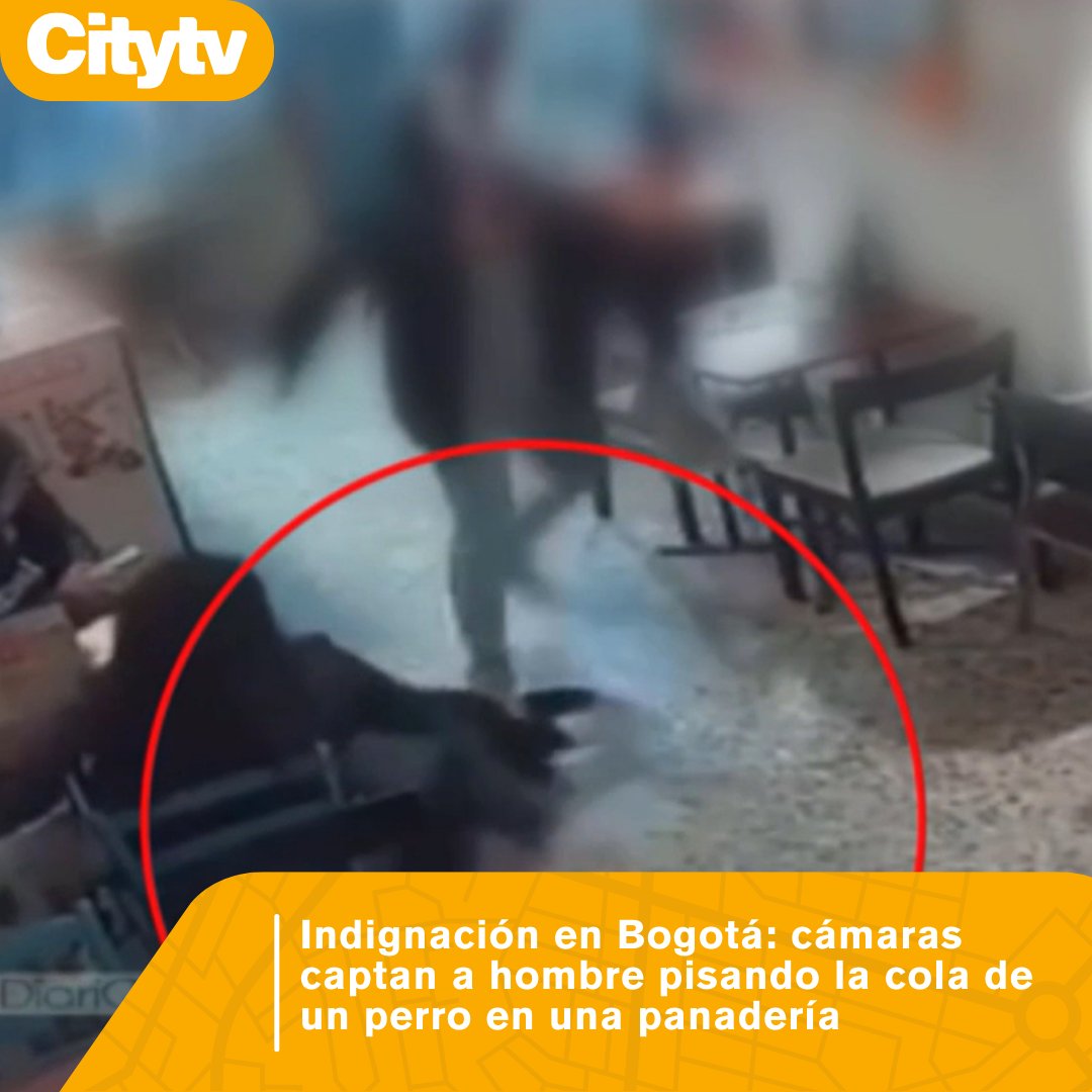 #BienestarAnimal | En redes sociales se difundió que el presunto agresor sería docente de una universidad, pero la institución aclaró que no tiene vínculo vigente con esa persona.👇
citytv.eltiempo.com/programas/city…