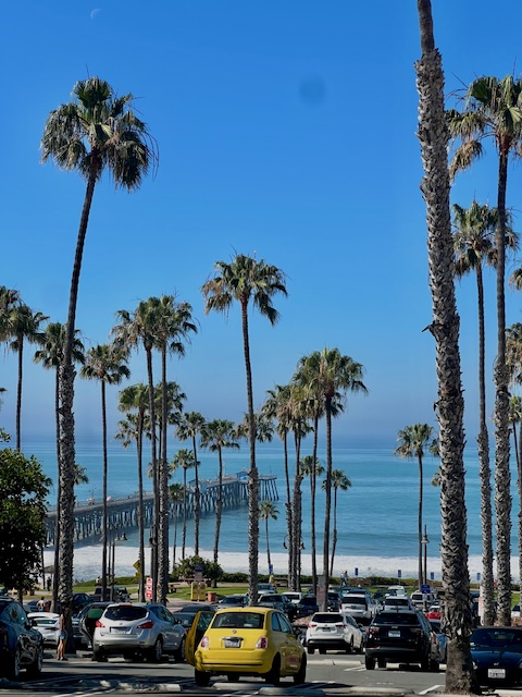 Matt Babayan tweet media