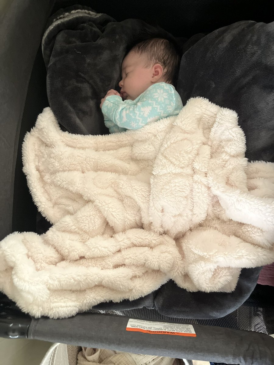 SpartaKats's tweet photo. Happy 2 months to my sweet little girl, Hazel! You make my heart grow and always put a smile on my face when I see you. Momma loves you baby girl 🥹💕 https://t.co/kgSKkdRn2t