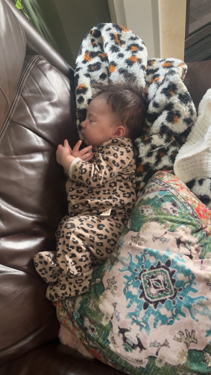 SpartaKats's tweet photo. Happy 2 months to my sweet little girl, Hazel! You make my heart grow and always put a smile on my face when I see you. Momma loves you baby girl 🥹💕 https://t.co/kgSKkdRn2t