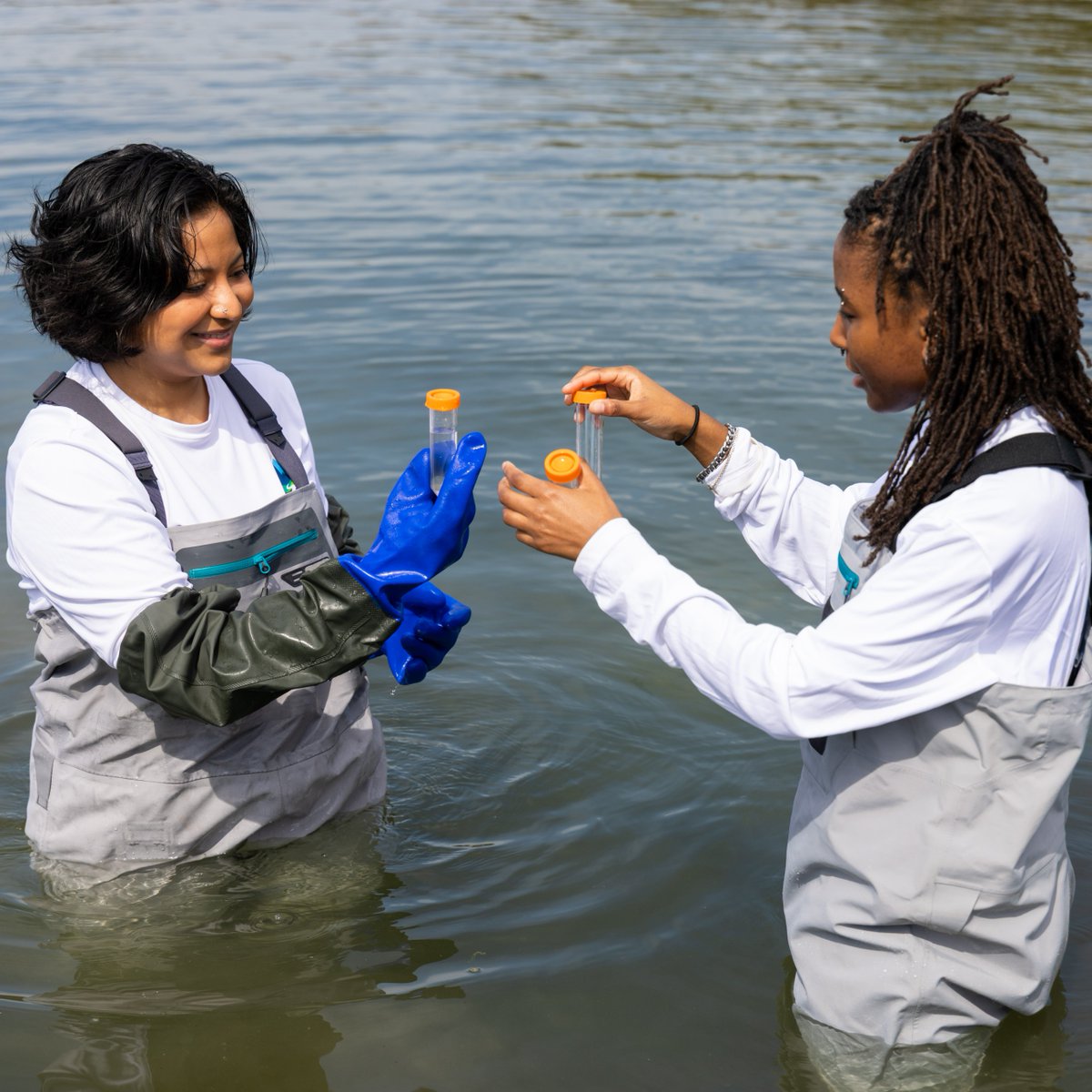 Hampton University tweet media
