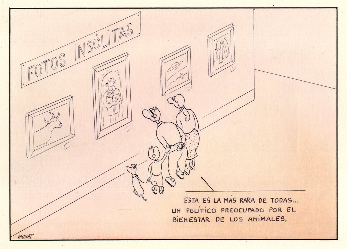 Paco Catalán. tweet media