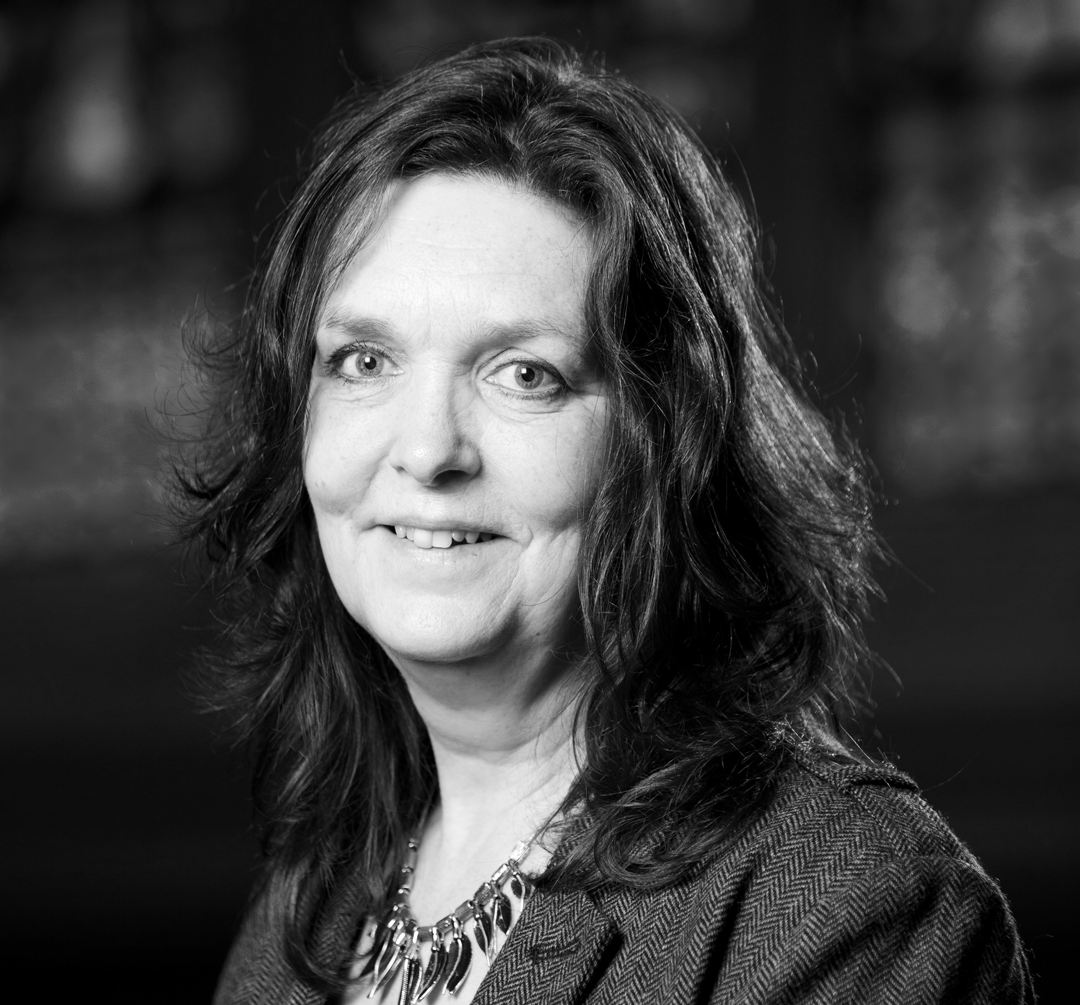 Out of the Wings tweet media