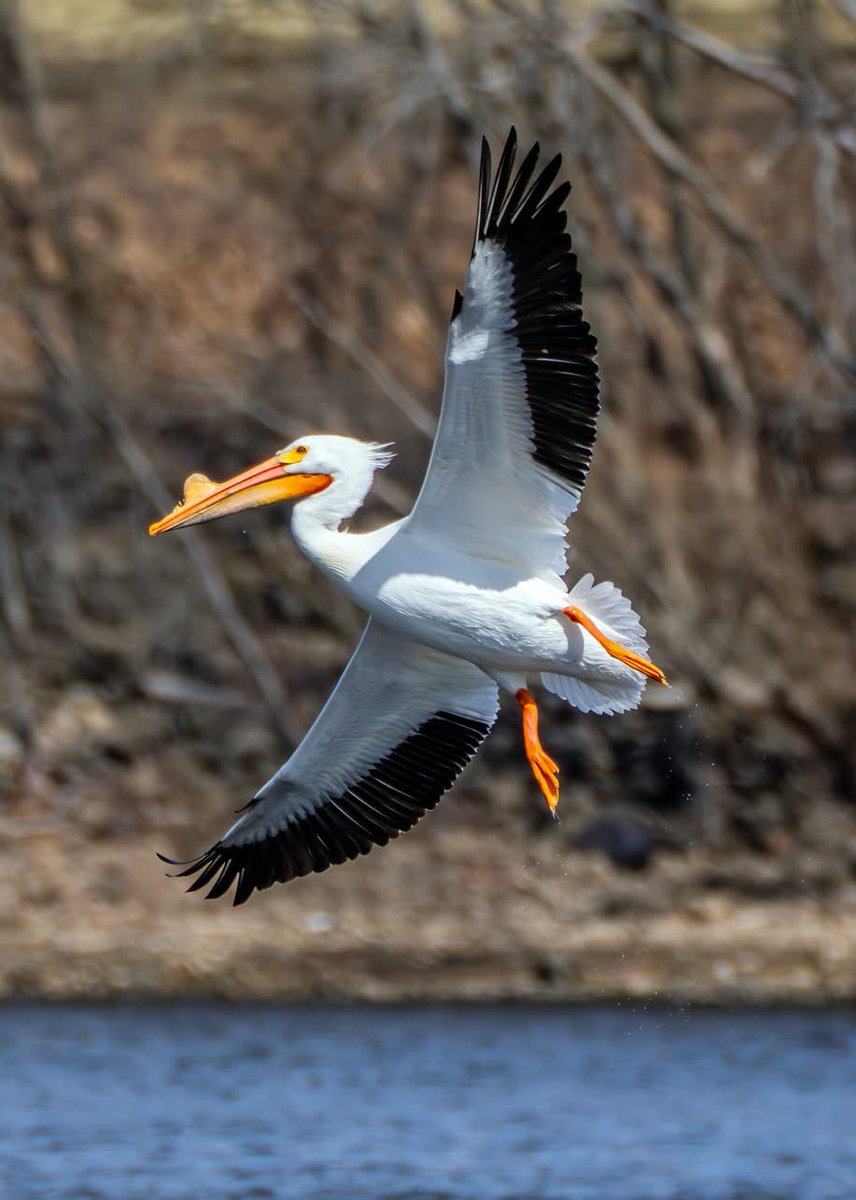 Olive🫒 tweet media