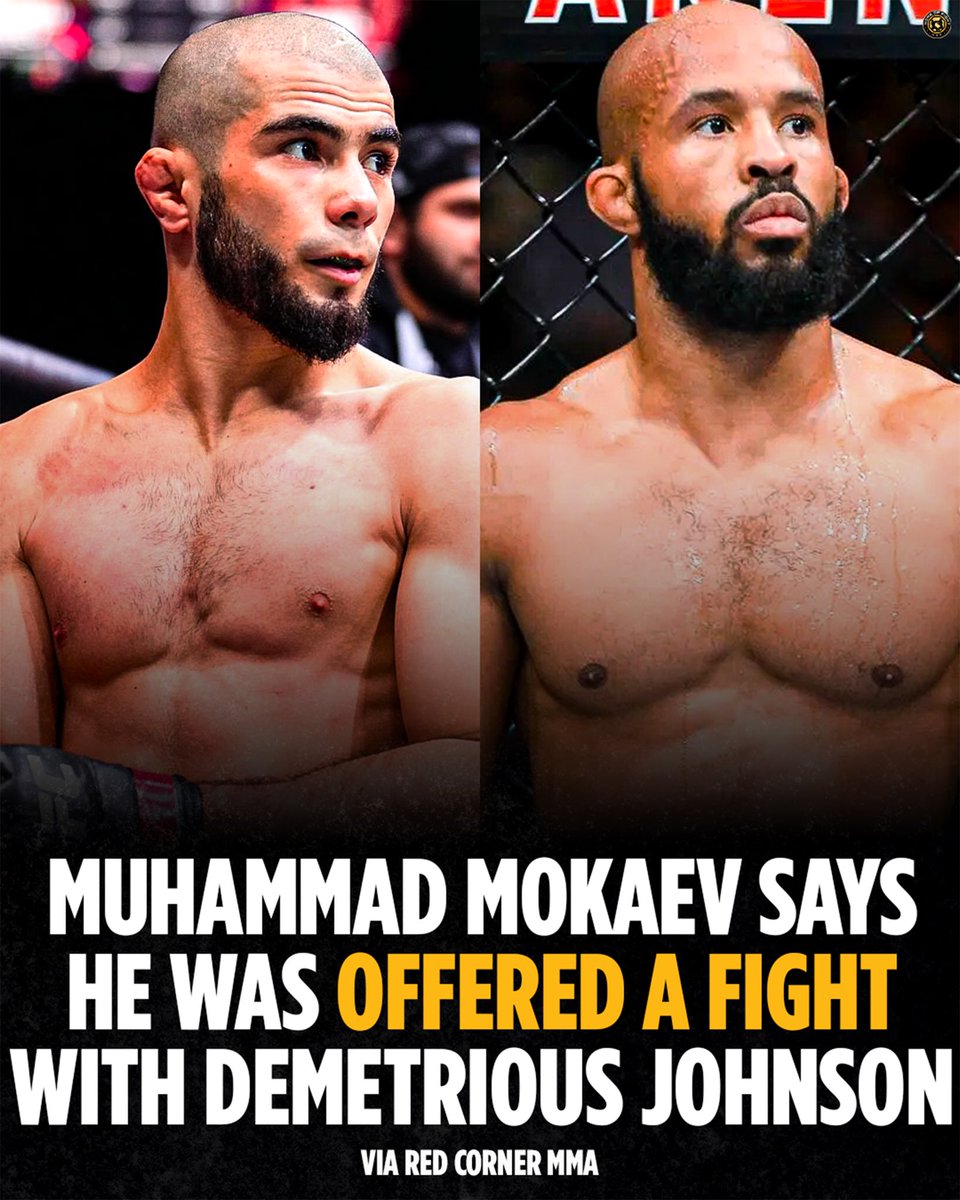 Home of Fight tweet media