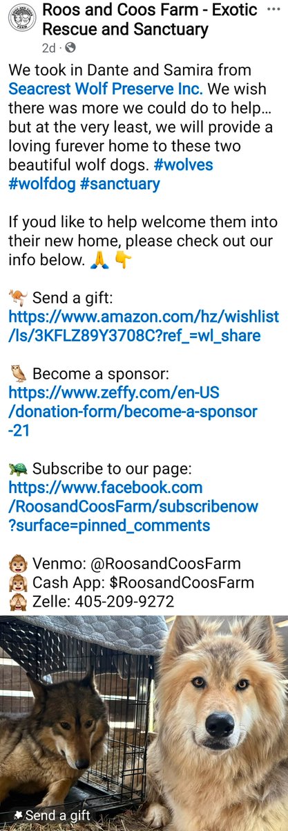 Kelly Doering tweet media