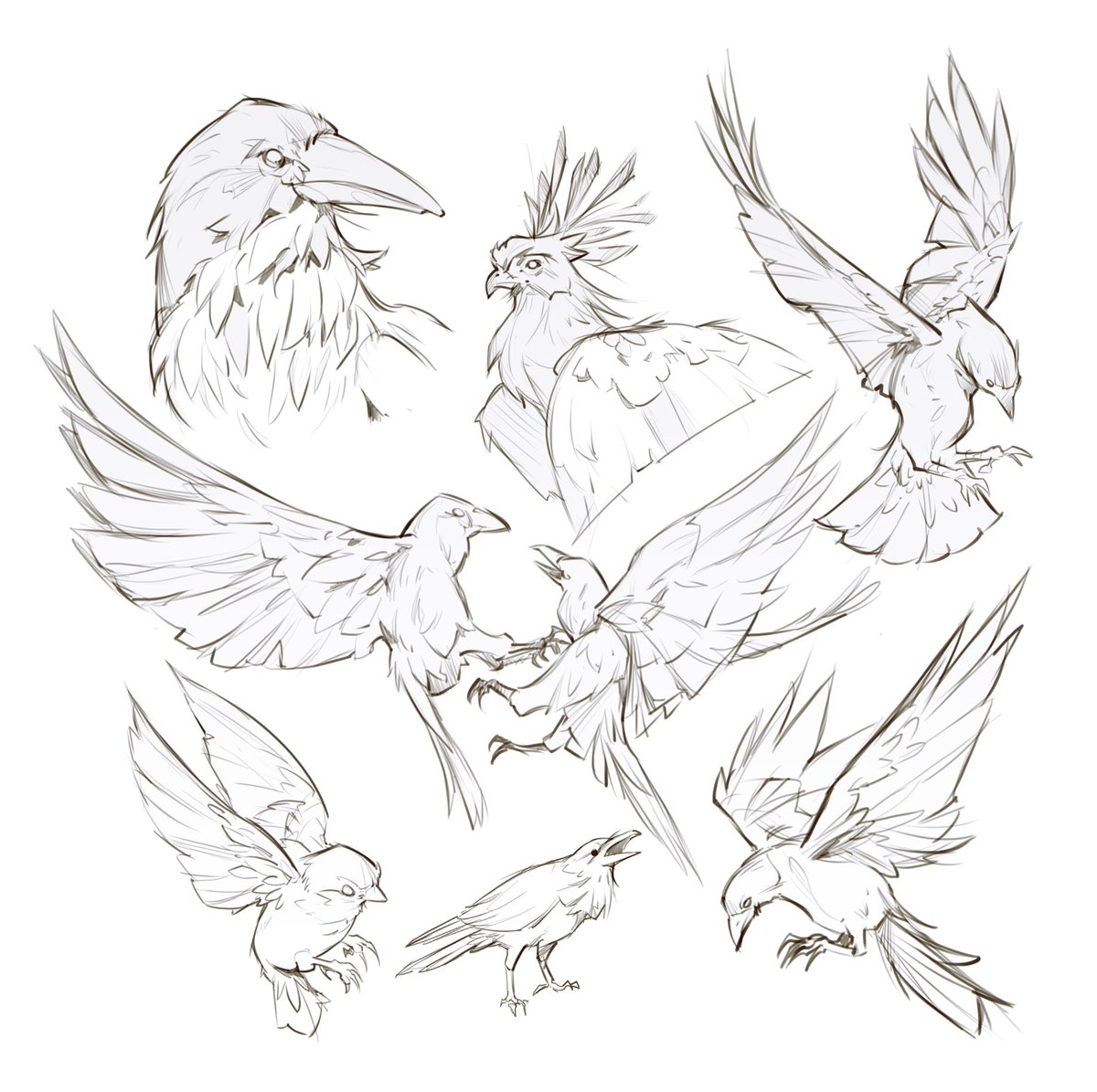 some birbs 🐦