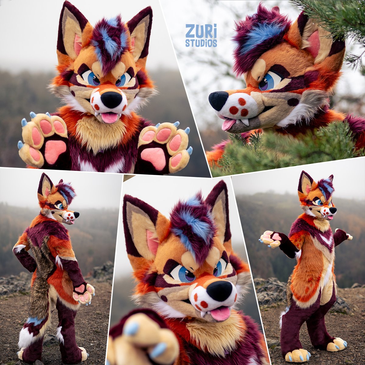 Zuri Studios tweet media