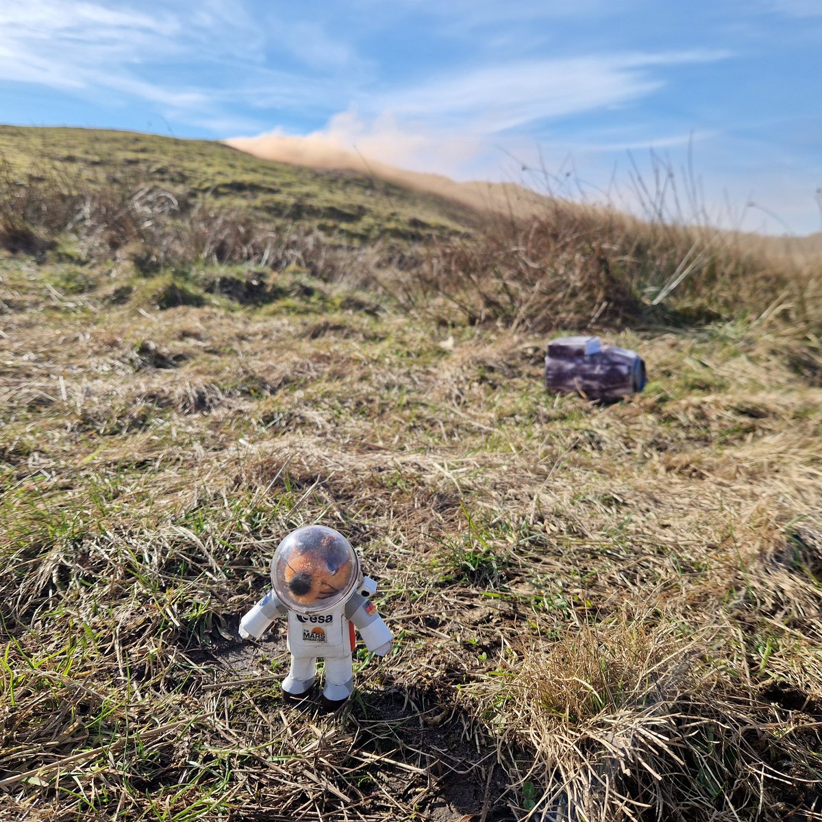 Mausonaut tweet media