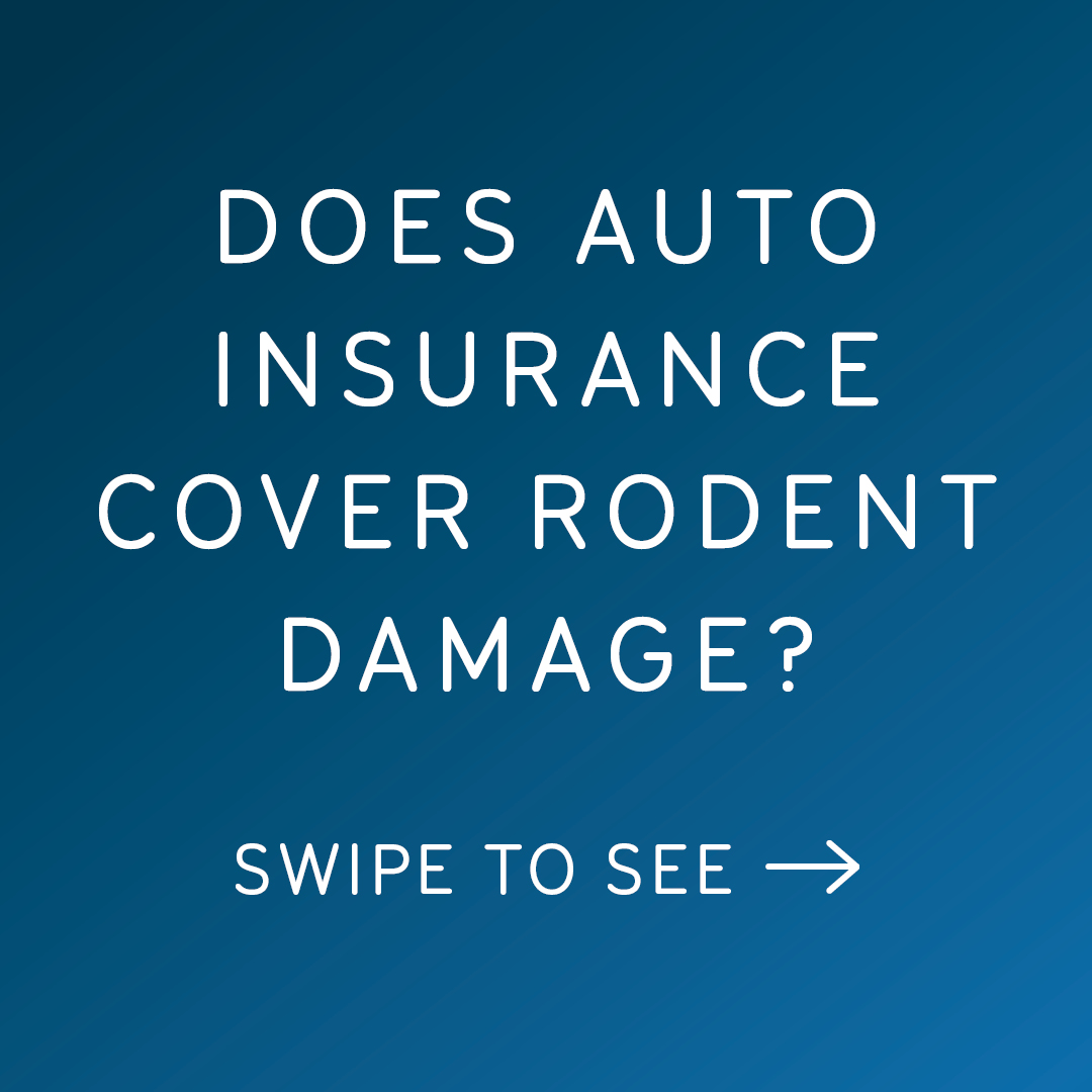 NJM Insurance Group tweet media