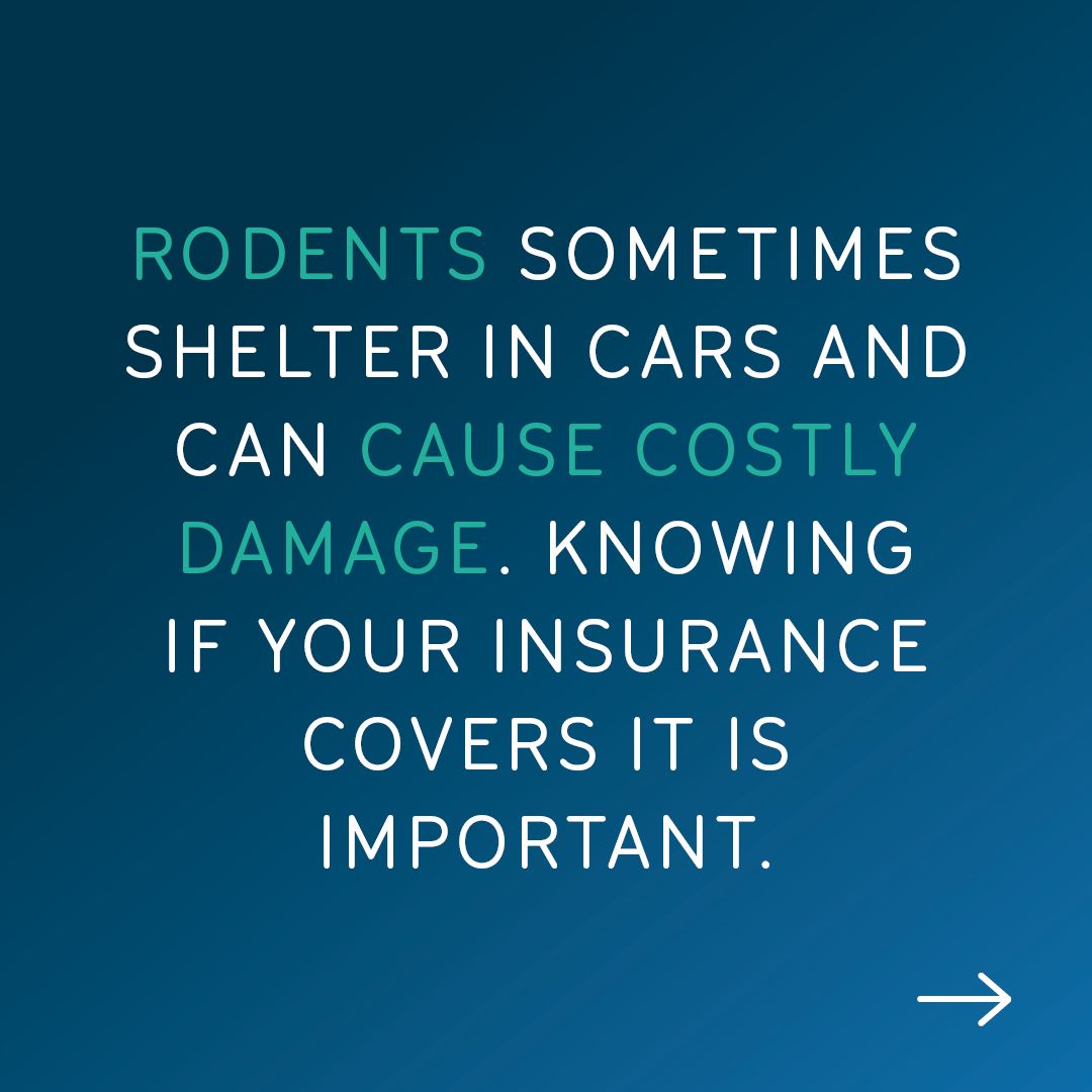 NJM Insurance Group tweet media