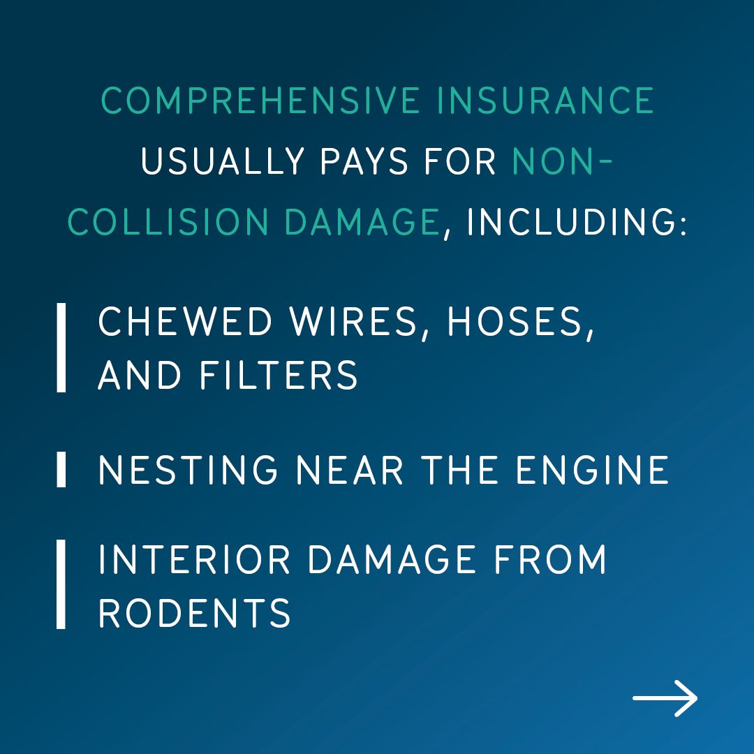 NJM Insurance Group tweet media