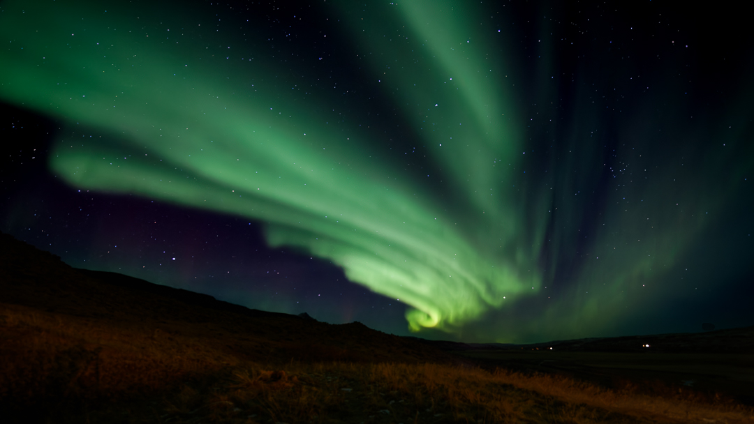 Dominiek Cottem tweet media