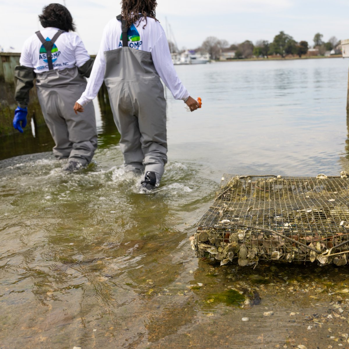 Hampton University tweet media