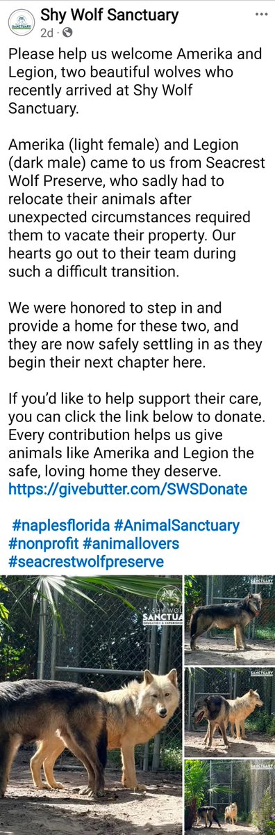 Kelly Doering tweet media