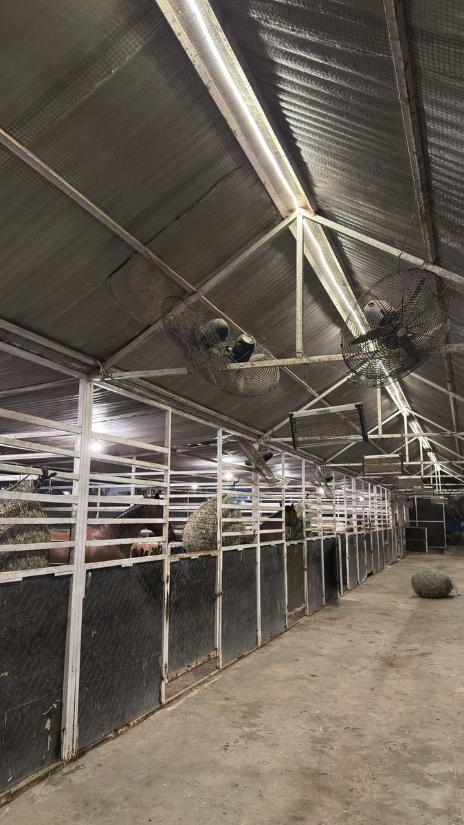 Dhaifallah tweet media