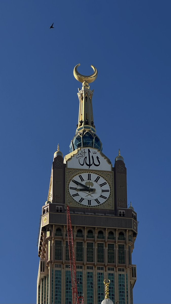 عذوب tweet media