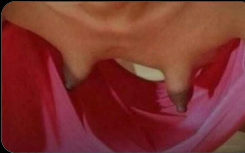 The Carrots of Judah tweet media